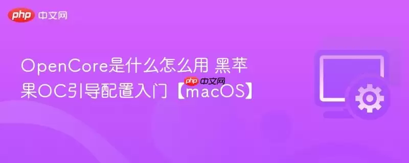 OpenCore是什么怎么用 黑苹果OC引导配置入门【macOS】