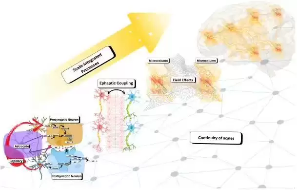 意识不只是算法？科学家重新定义大脑如何“计算”，AI仅为数字模拟仍无法复现其本质