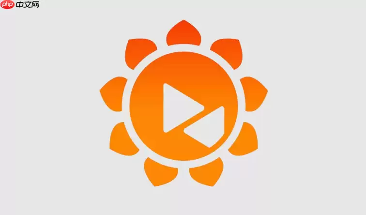 向日葵怎么设置固定访问密码?提升远程连接安全性