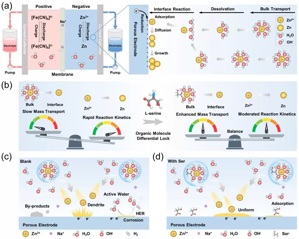 西安交大团队破解锌基电池寿命难题