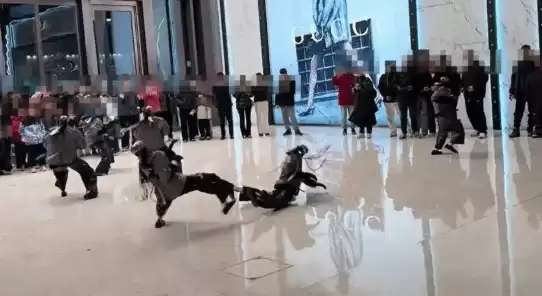 机器人武术表演失误撞倒同伴引热议