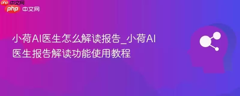 小荷AI医生怎么解读报告_小荷AI医生报告解读功能使用教程