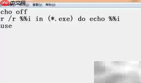 显示当前目录所有exe文件