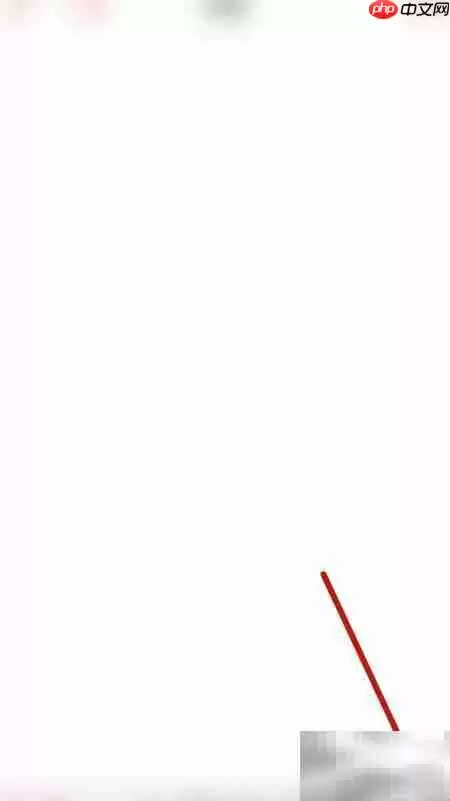 启用PDF Pro多页签模式