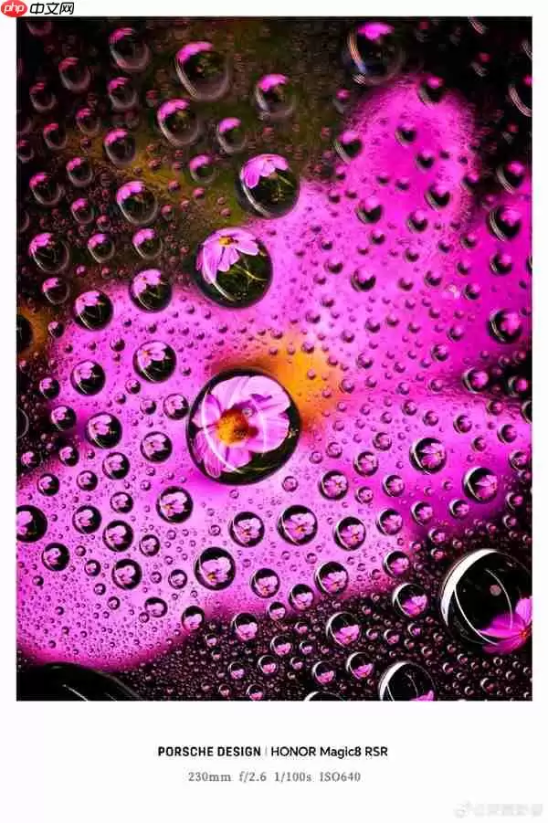 荣耀最强影像旗舰！荣耀Magic8+RSR保时捷设计长焦样张首秀