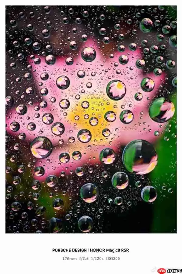 荣耀最强影像旗舰！荣耀Magic8+RSR保时捷设计长焦样张首秀