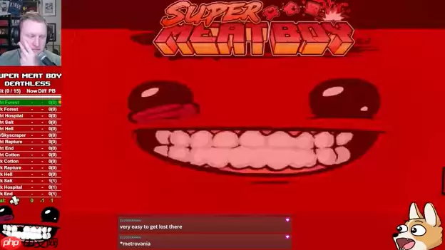 高玩不死通关超难《超级食肉男孩》发售15年来首次突破