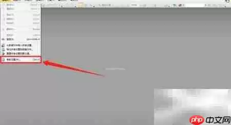 PDF Viewer浏览器显示设置