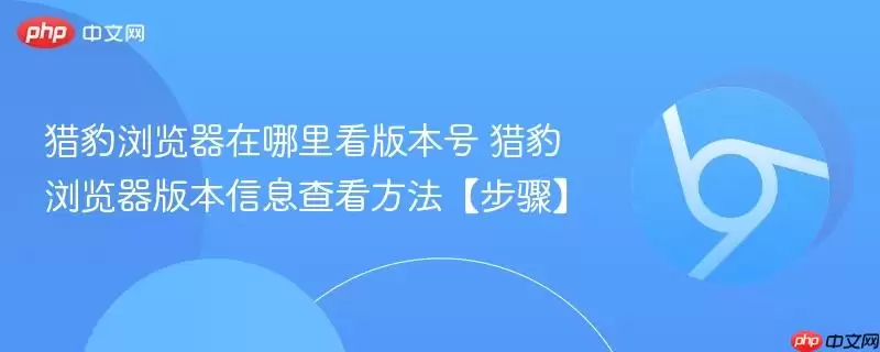 猎豹浏览器在哪里看版本号 猎豹浏览器版本信息查看方法【步骤】