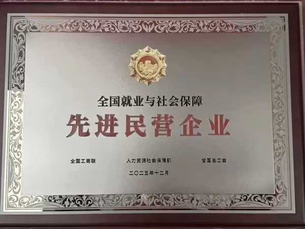 京东荣获全国就业社保先进民企,全力保障员工权益与职业发展