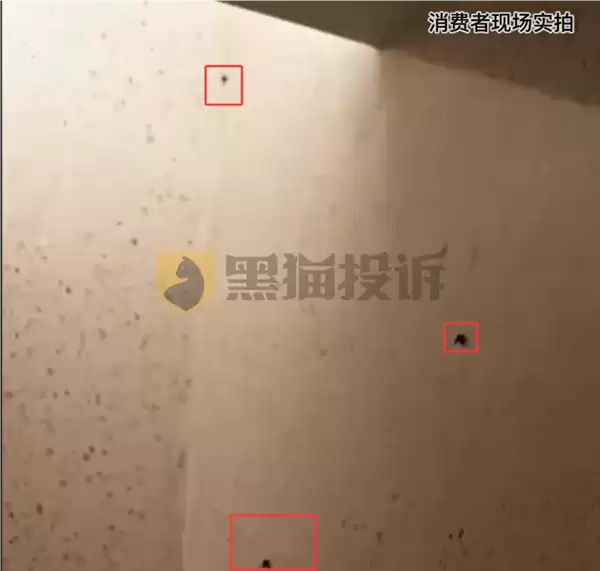 喜来登豪华套房惊现30多只活飞虫 万豪回应:无法约束旗下酒店