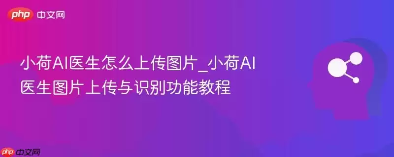 小荷AI医生怎么上传图片_小荷AI医生图片上传与识别功能教程
