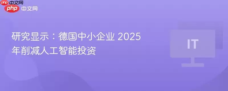 研究显示：德国中小企业 2025 年削减人工智能投资