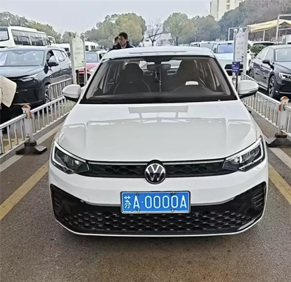 车主选车牌摇到豹子号苏A0000A 陪办销售直呼活久见