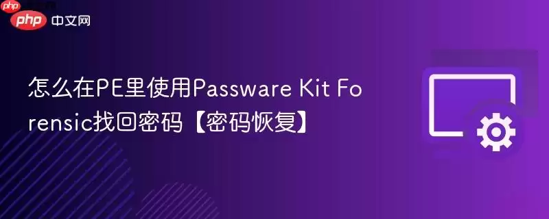 如何在PE里使用Passware Kit Forensic找回密码【密码恢复】