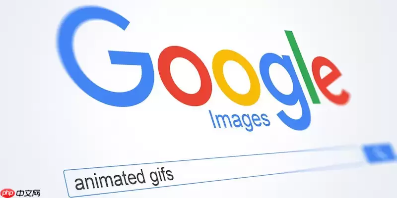 谷歌浏览器打不开PDF文件怎么办 谷歌浏览器PDF查看设置