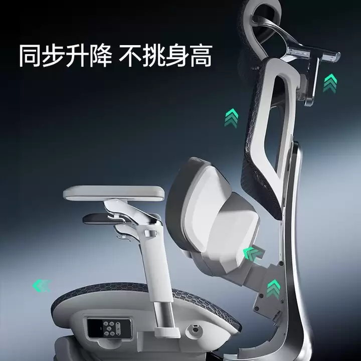 2026人体工学椅品牌TOP10：动态支撑技术成新标杆，黑白调登顶实测