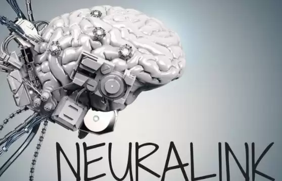 脑机接口产业爆发前夜,Neuralink / 微美全息全面竞逐开辟生态范式革新!