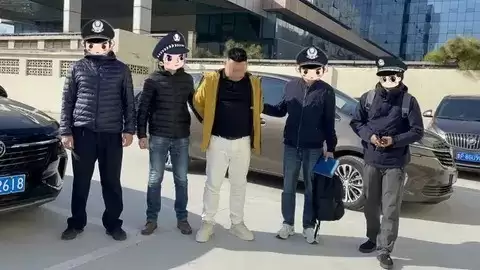 2025年破获特大新能源汽车网络谣言案