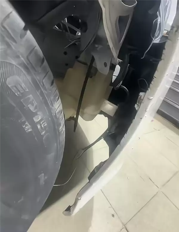 光天化日下两条狗拆了一辆日本车