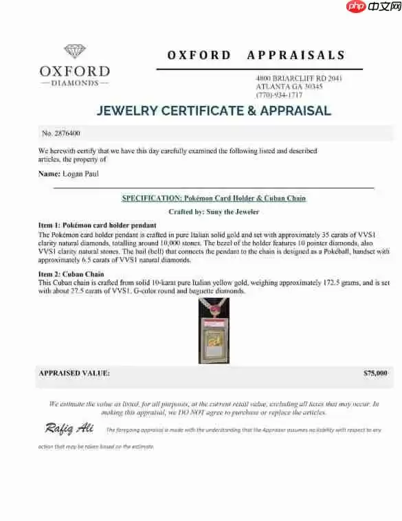 全球唯一PSA 10级最贵宝可梦卡拍卖中！洛根·保罗承诺加码钻石项链