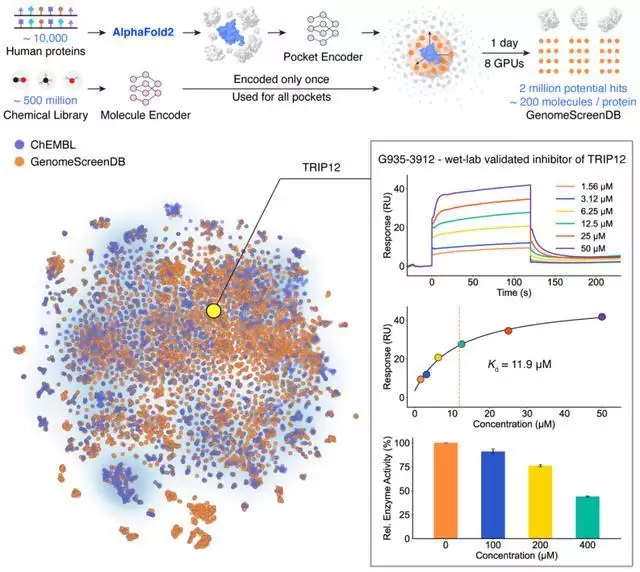 清华2026年首篇Science论文：AI帮助药物虚拟筛选提速百万倍