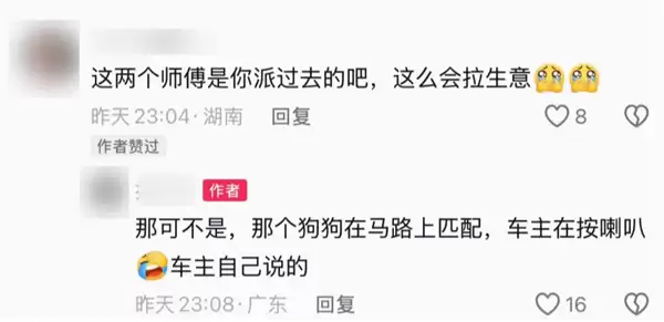 光天化日下两条狗拆了一辆日本车