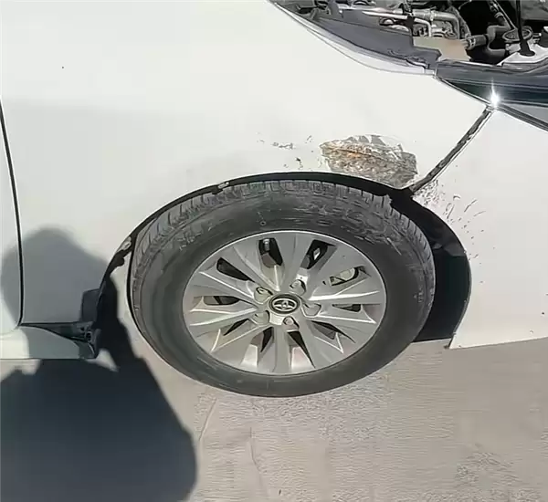 光天化日下两条狗拆了一辆日本车