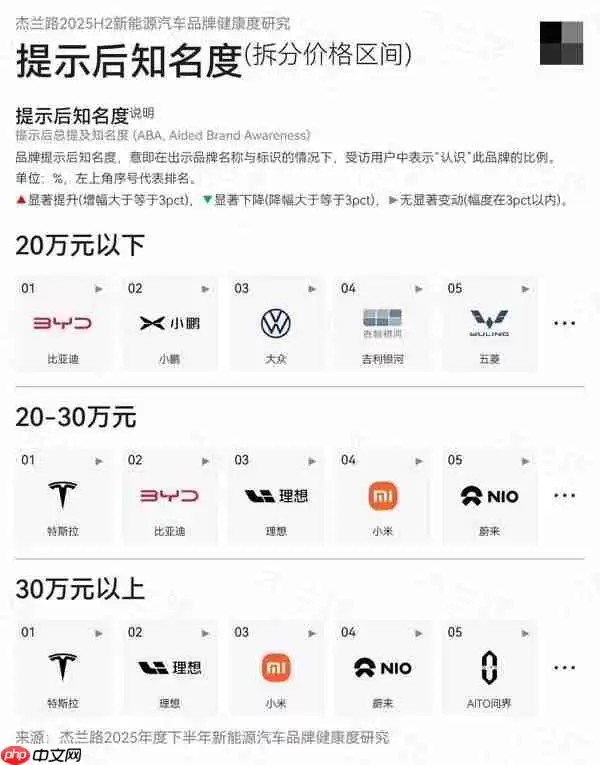 2025下半年新能源汽车品牌知名度：特斯拉排第二