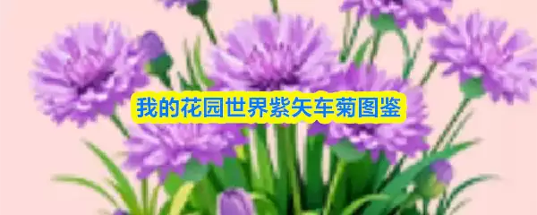 我的花园世界紫矢车菊图鉴
