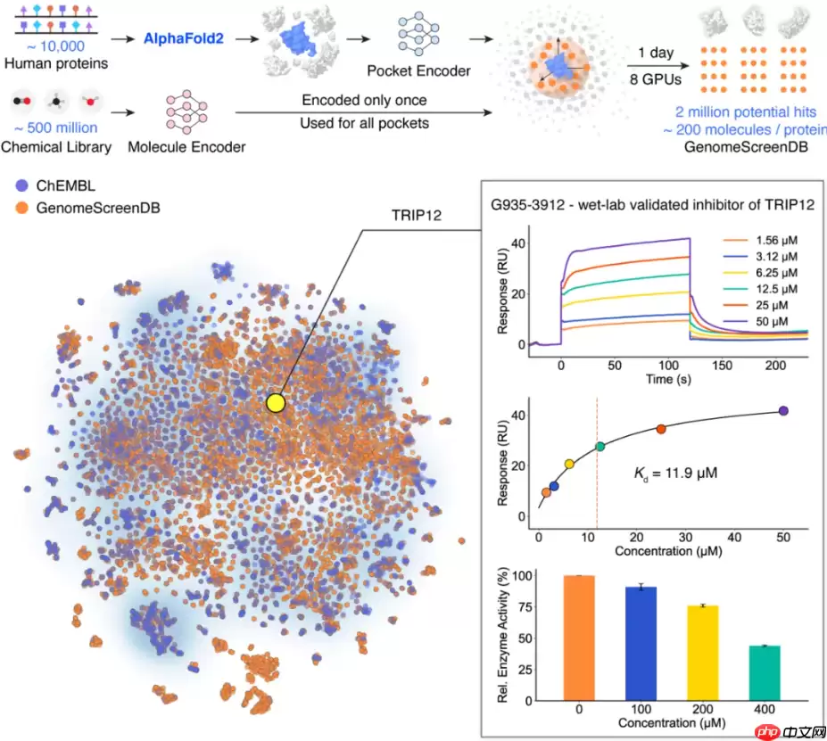 清华大学研发 AI 药物筛选平台