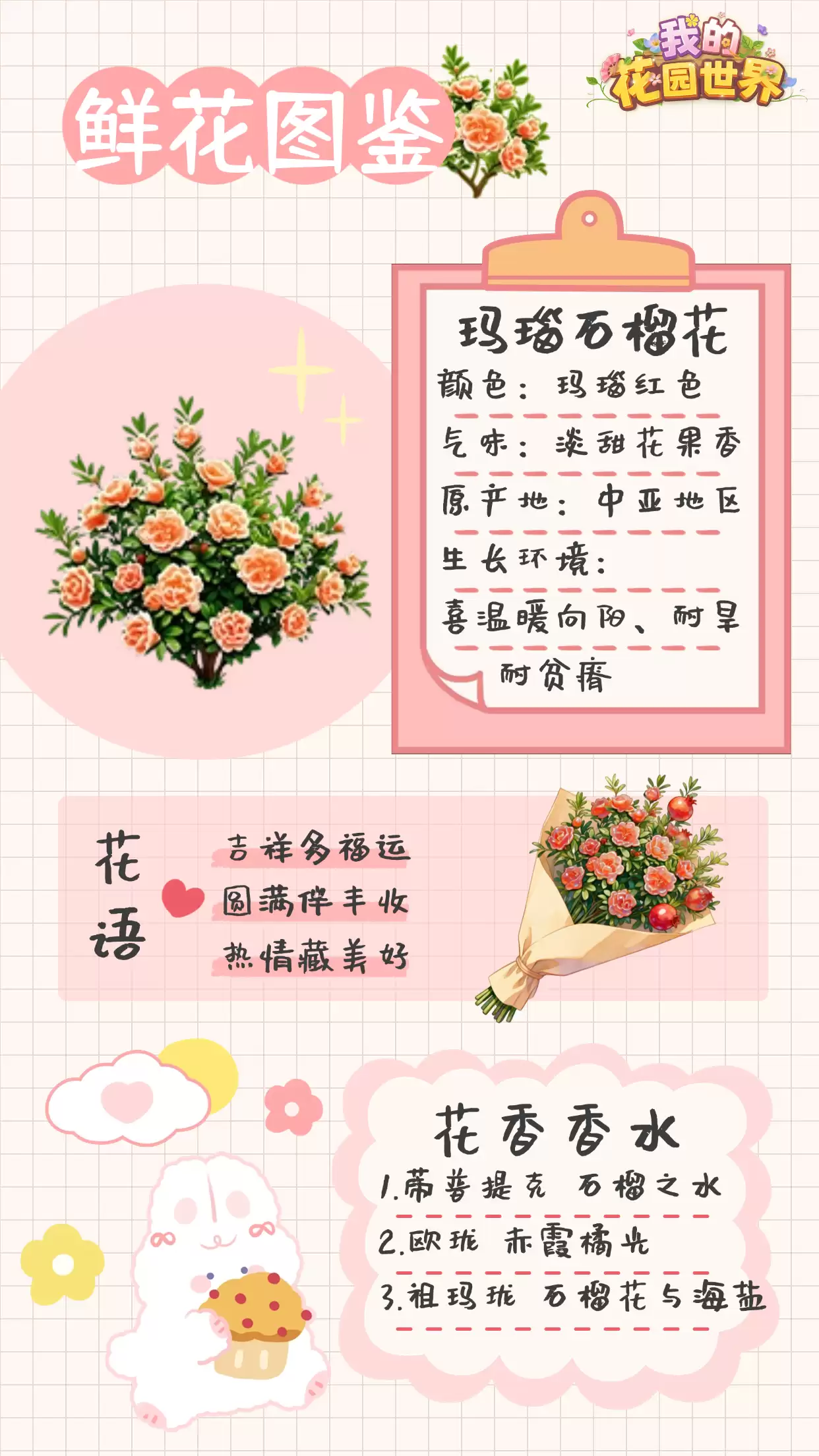 我的花园世界玛瑙石榴花图鉴