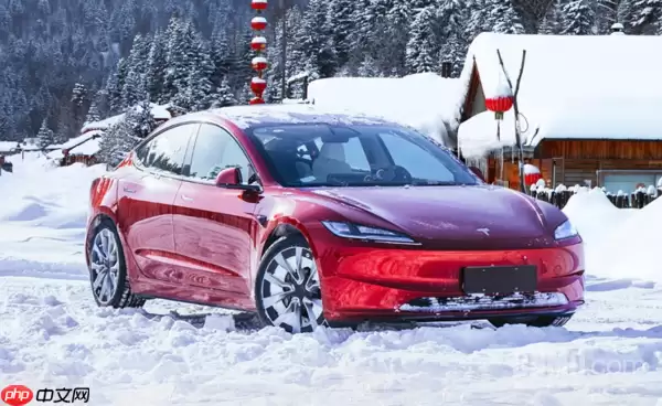 特斯拉全年交付量或连续第二年下滑 Q4中位值超42万辆