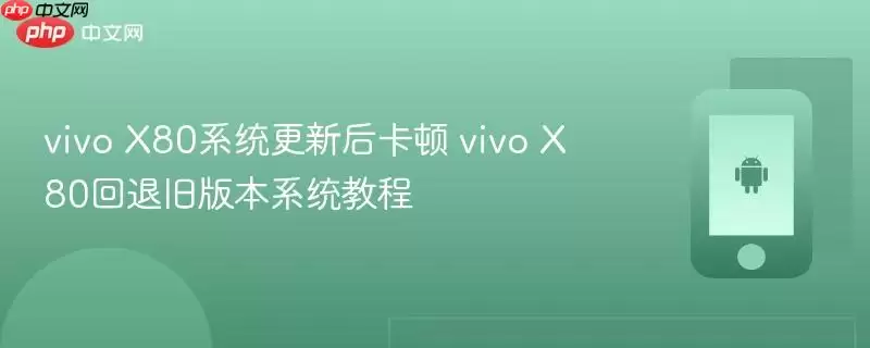 vivo X80系统更新后卡顿 vivo X80回退旧版本系统教程