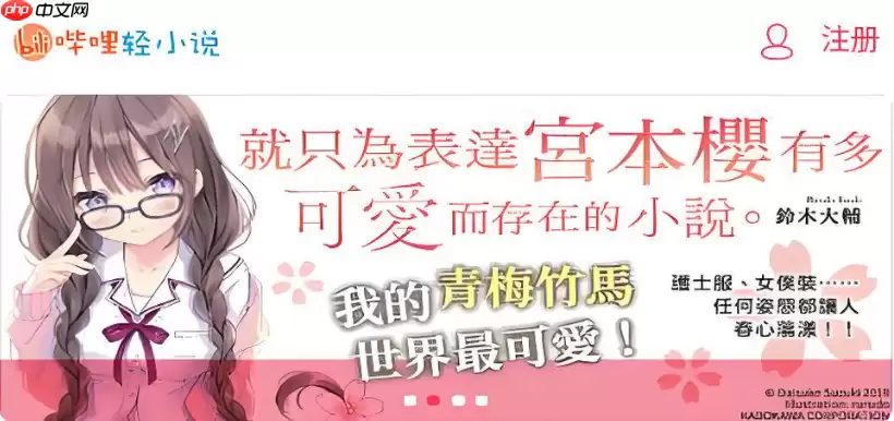 哔哩哔哩轻小说修改密码与账号安全设置