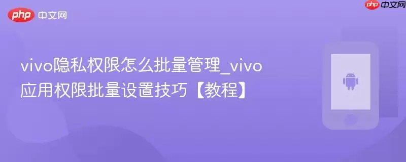vivo隐私权限怎么批量管理_vivo应用权限批量设置技巧【教程】
