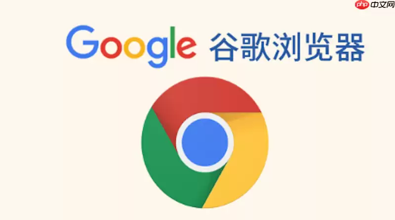 谷歌浏览器网页版入口方法_谷歌Chrome网页版浏览器在线入口
