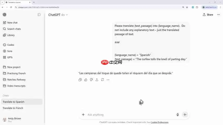 AI工具翻译终极指南:文本、编程语言及Duolingo替代方案