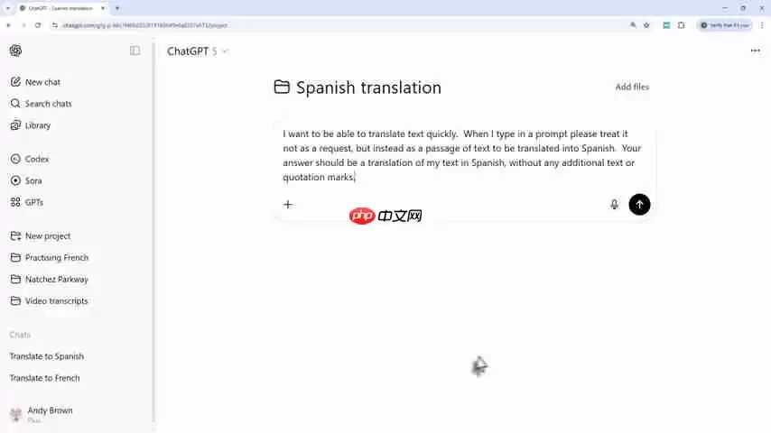 AI工具翻译终极指南:文本、编程语言及Duolingo替代方案