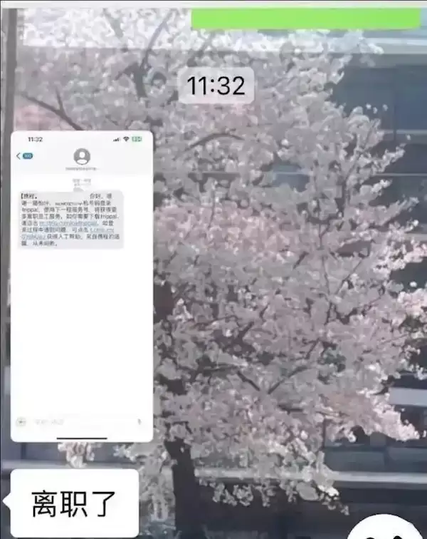 曝携程误发全员离职通知 网友：人在工作中能捅多大的篓子