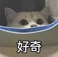 AI太记仇!做完心理治疗后仍记得“被工程师虐待”