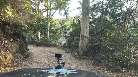 越野入门必看:离地间隙、四驱系统与差速锁全解析