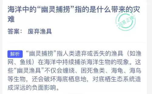 海洋中的幽灵捕捞指的是什么带来的灾难