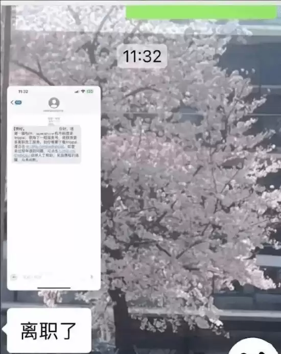 携程误发全员离职通知致热搜热议