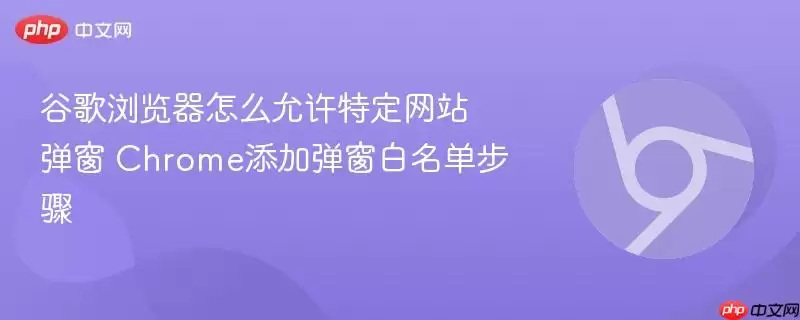 谷歌浏览器怎么允许特定+弹窗+Chrome添加弹窗白名单步骤