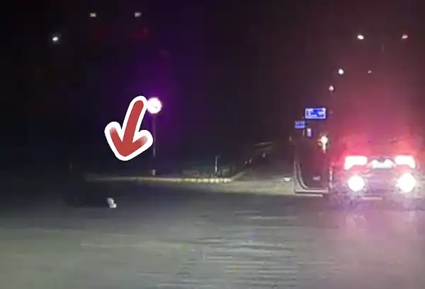 男子醉驾途中下车躺路上呼呼大睡：自己都不知道在哪儿喝醉的