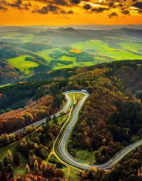 赛道奥秘：从走线到旗语的全方位解析