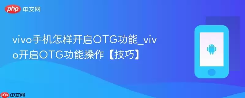 vivo手机怎样开启OTG功能_vivo开启OTG功能操作【技巧】