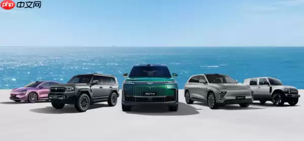 中国汽车品牌去年在土耳其表现强劲 奇瑞达28579辆