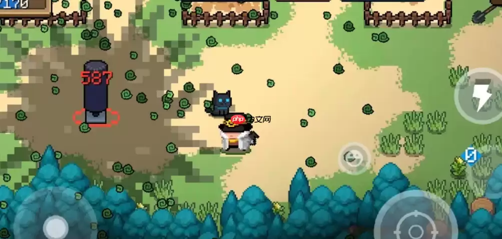 魔法井水如何提升冒险者续航能力？